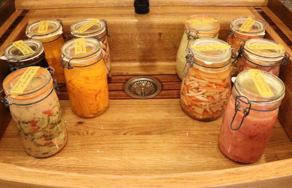 verschillende gefermenteerde groenten